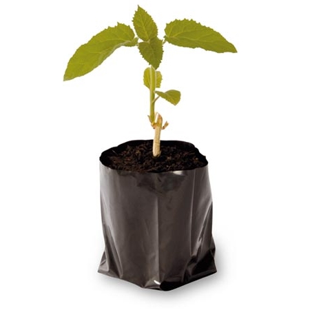 Plant bags, bag pots 1 litre 9x11.5cm  50 pieces 3.30